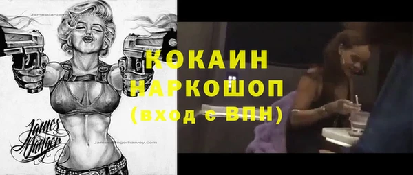 стаф Киренск