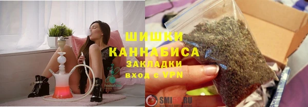 стаф Киренск