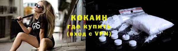 стаф Киренск