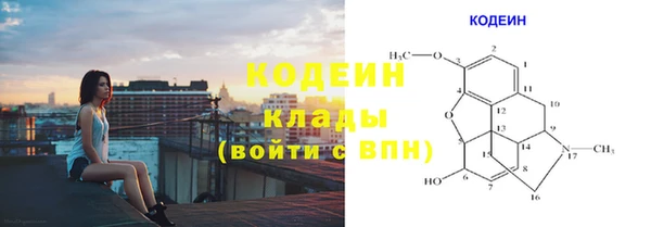 стаф Киренск