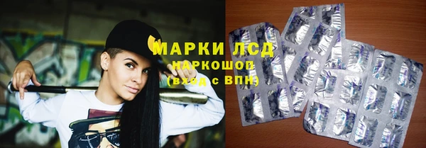 стаф Киренск