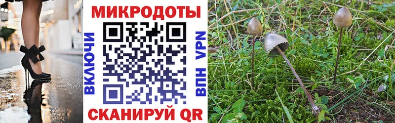 Псилоцибиновые грибы прущие грибы  Купить где  Буй 