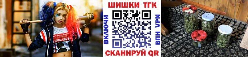Каннабис сатива  Купить закладки  Буй 